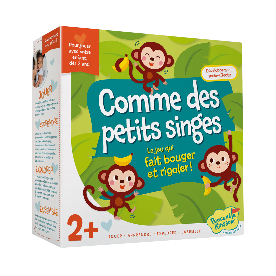 Comme des Petits Singes