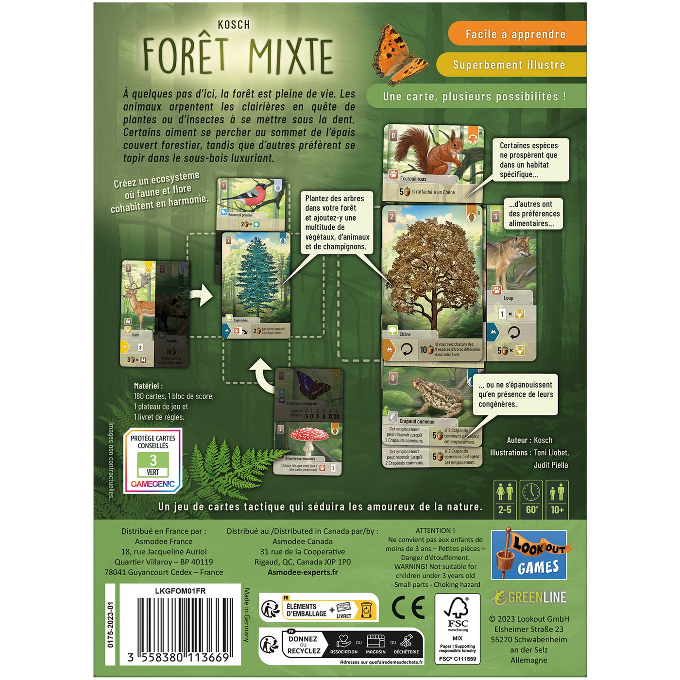 Forêt Mixte