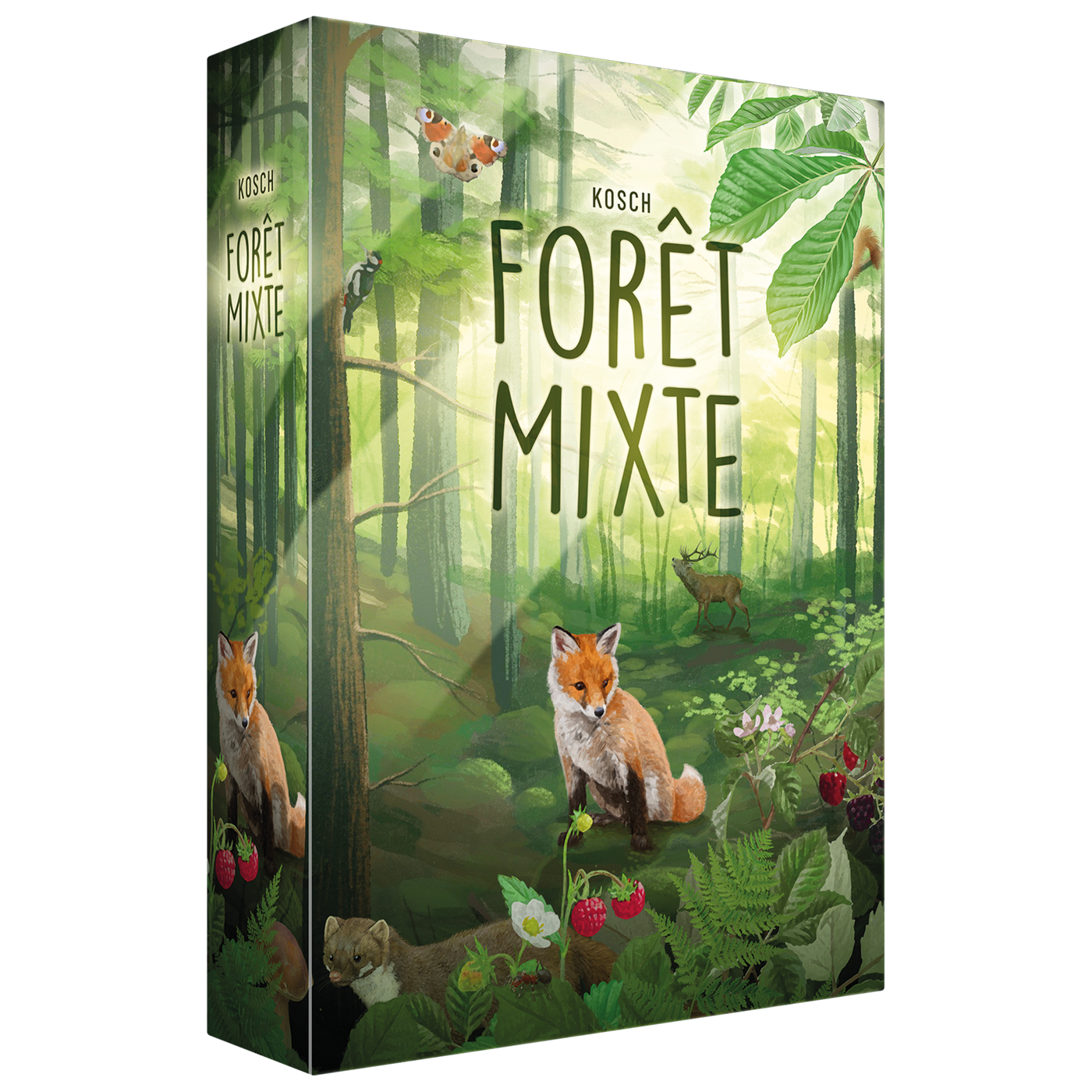 Forêt Mixte